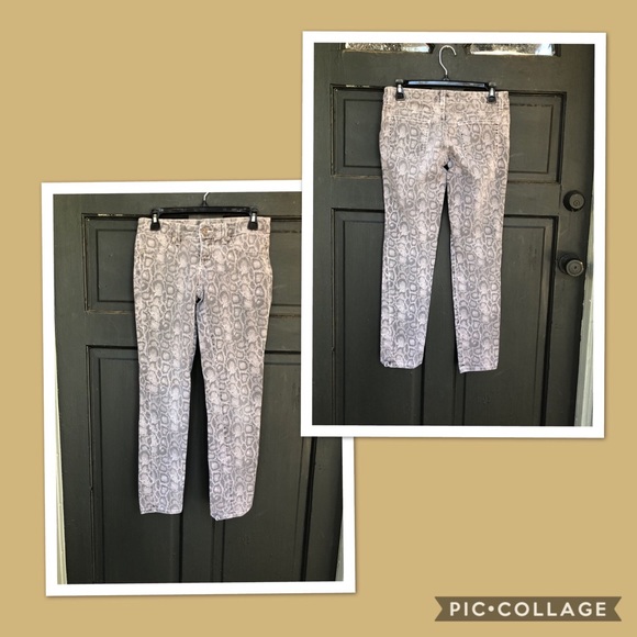Carmar Denim - Carmar Snake Print Jeans J7